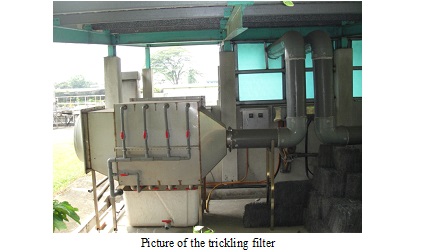Picture of the trickling filter