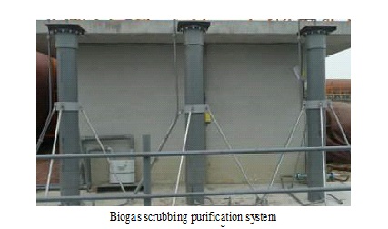 Biogas scrubbing purification system