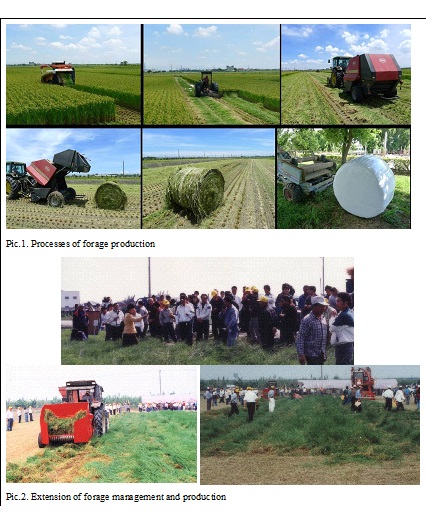 forage production