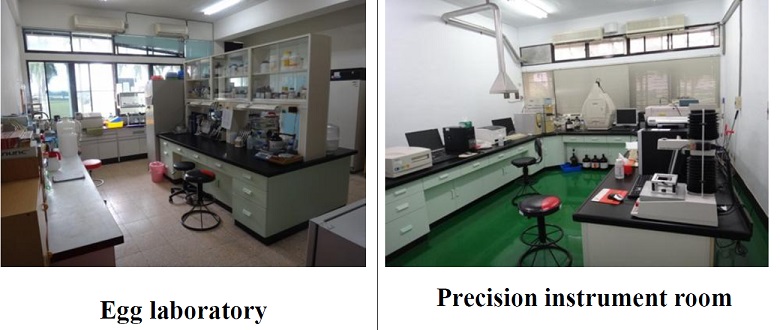 egg laboratory and precision instrument room