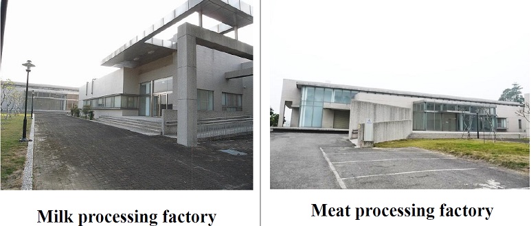 milk and meat processing factory