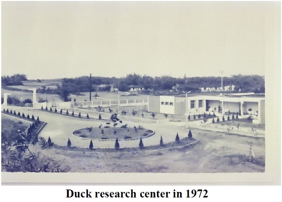 Duck research center