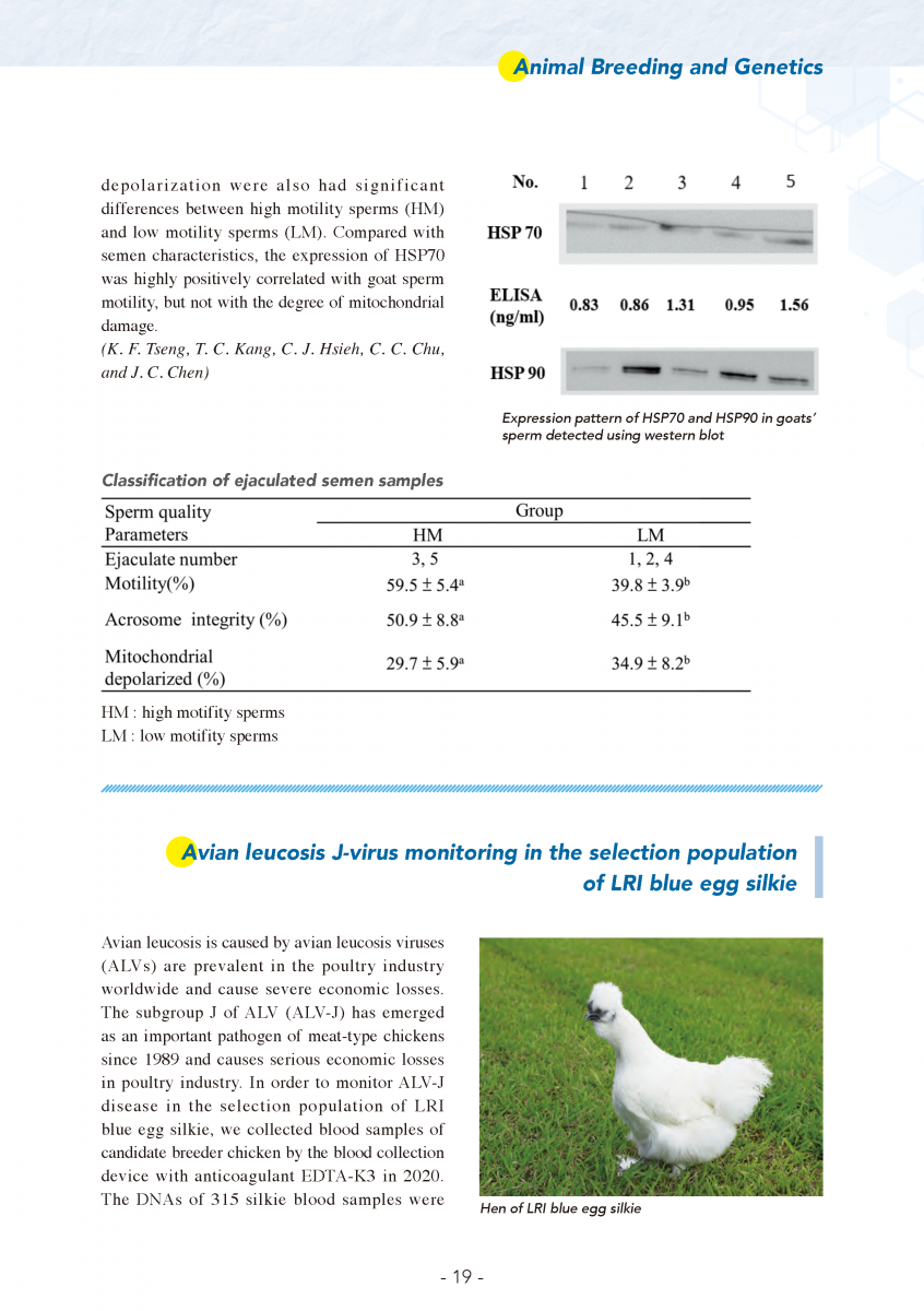 Animal Breeding and Genetics page 15