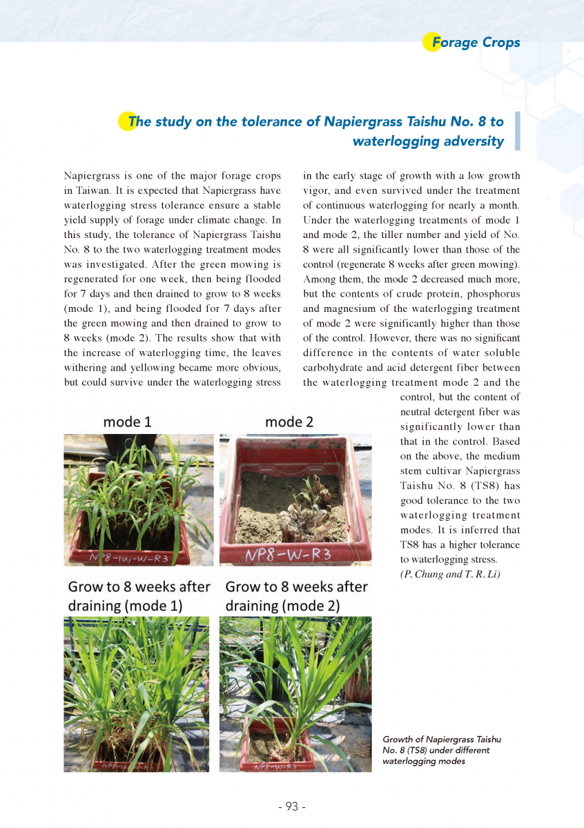 Forage Crops page 3