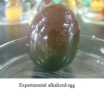 akalized egg